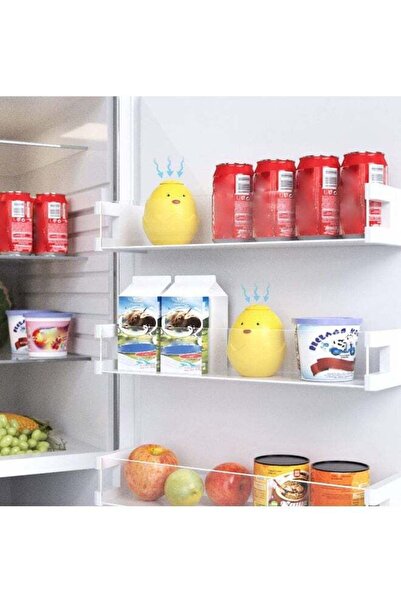Generic ridge Deodorizer Fresheners Smell Odor Eliminator 2 Pack (Chick) - Refrigerator Freezer Deodorizer (