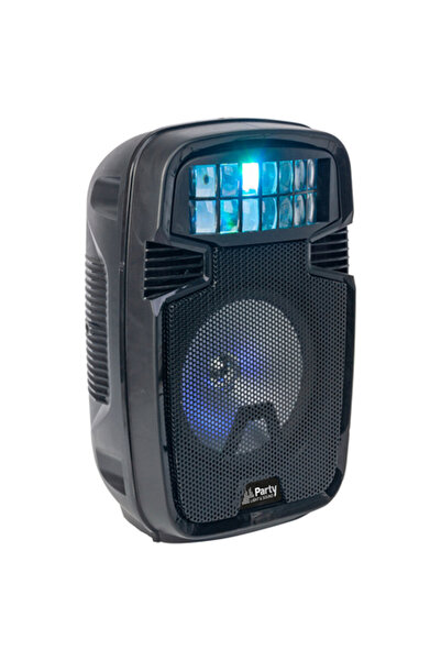 Ibiza Sound Φορητό ηχείο Bluetooth 8 ιντσών με ραδιόφωνο FM, USB/SD, επαναφορ...
