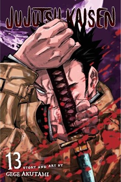 Viz Media Jujutsu Kaisen Vol. 13
