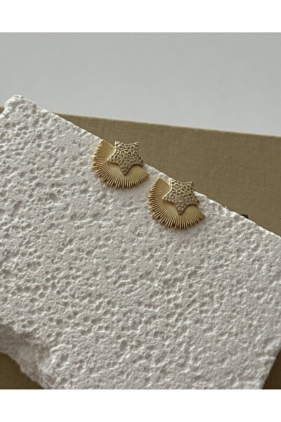 H&S AKSESUAR Shiny Fan Star Earrings