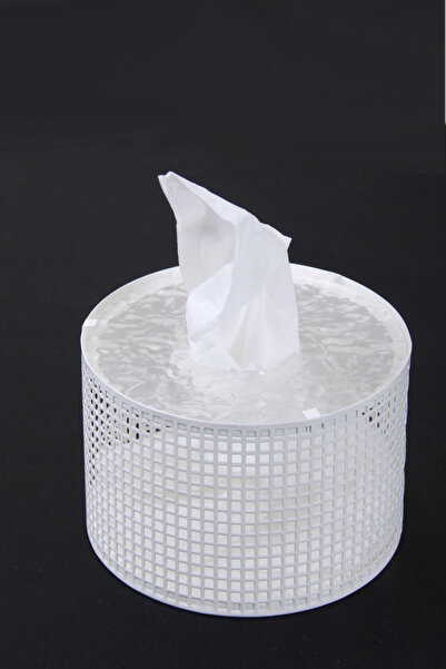 Generic Stylish tissue box holder