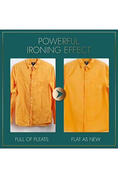 Generic A small, portable steam iron. Also known as a "dry iron with a spray nozzle".