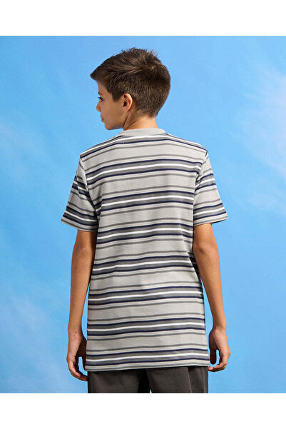 REDTAG Senior Boys Grey Striped Mandarin Collar Polo Shirt