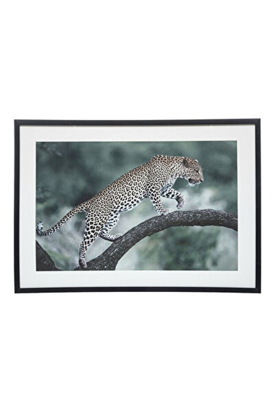 ALAYRA International Juni Leopard Canvas Wall Art (40x60 cm) – Wall Mounted D...