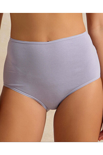 REDTAG Women Blue And Pink Full Brief With Lace Back (Pack Of 2)