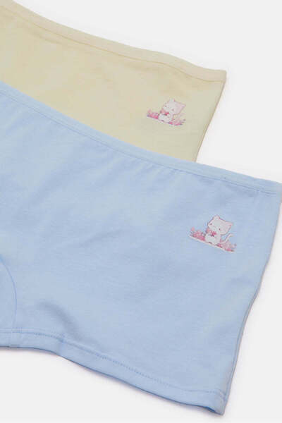 REDTAG Senior Girls Blue And Yellow Boxer Brief Set (Pack Of 2)