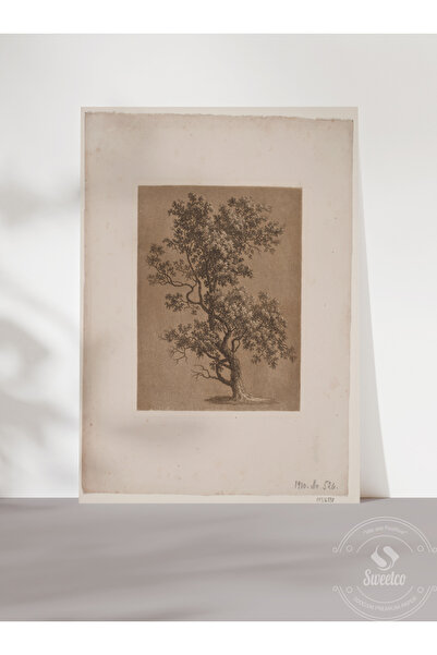 Sweetco Çerçevesiz Poster Oak Tree by Soren Henrik Petersen | Klasik Sanat Vintage Meşe Ağacı Poster