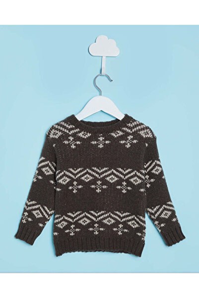 REDTAG سترة مطبوع باللون البني للأولاد الرضع