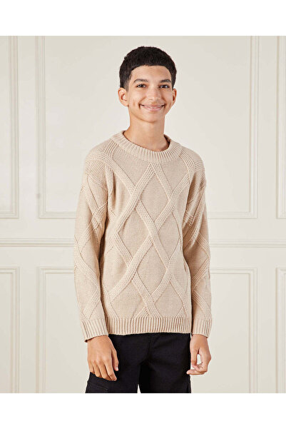 REDTAG Senior Boys Beige Cable Knitted Pullover Sweater