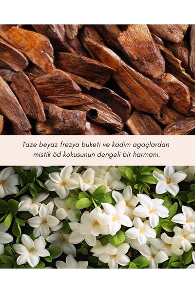 DeDe Candle & Wellness Studio Öd Ağacı + Frezya Çubuklu Oda Kokusu | Oud + Freesia Reed Diffuser