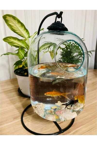 Genel Markalar Akvaryum Fanus Ferforjeli Akvaryum Askılı Fanus Teraryum Büyük...