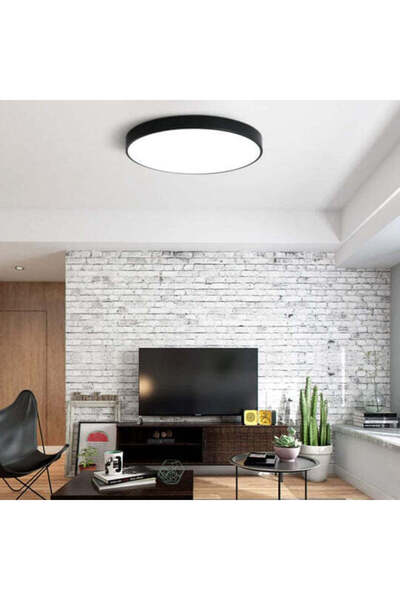 RFAN LED Ceiling Light, Round, Matt, 30W, Cold Light, 6500K, Black