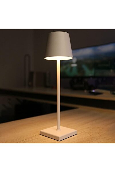 RFAN Table Lamp, Touch, 3 Light Types, USB Charging, Gray