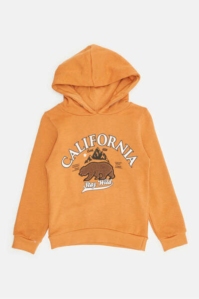 REDTAG Infant Boys Mustard Print Hooded Sweatshirt