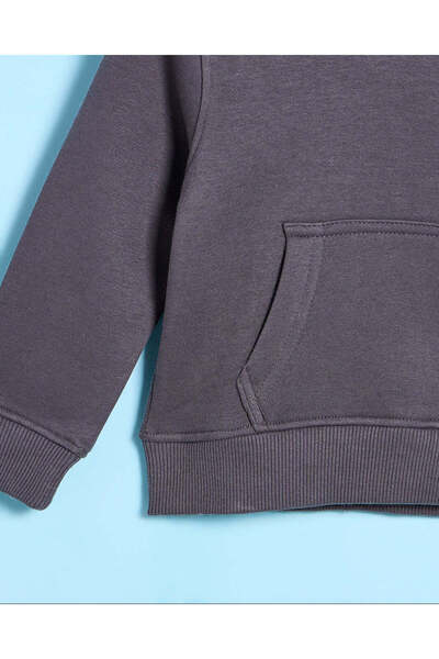 REDTAG Infant Boys Grey Wild Tiger Hooded Sweatshirt