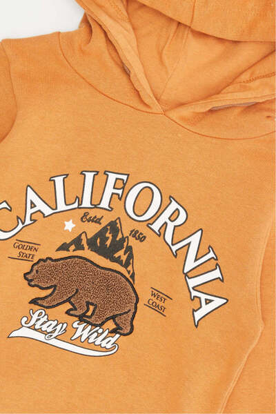 REDTAG Infant Boys Mustard Print Hooded Sweatshirt