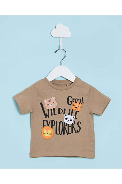 REDTAG Infant Boys Brown And Charcoal Casual Set (2 Piece)