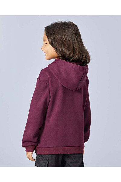 REDTAG Boys Brown Hooded Sweatshirt