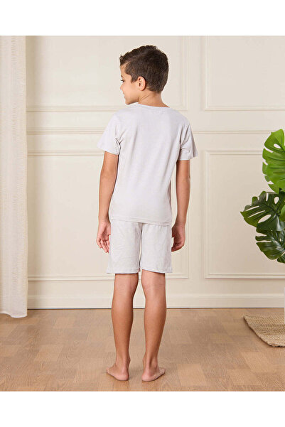 REDTAG Boys Grey Printed Pyjama Set (2 Piece)
