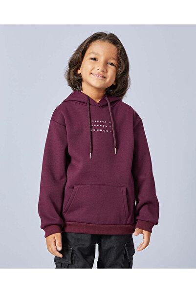 REDTAG Boys Brown Hooded Sweatshirt