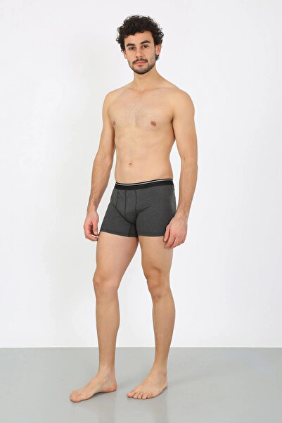 alfa expres Clothing Men Cotton Stretch Fabric Boxer Anthracite