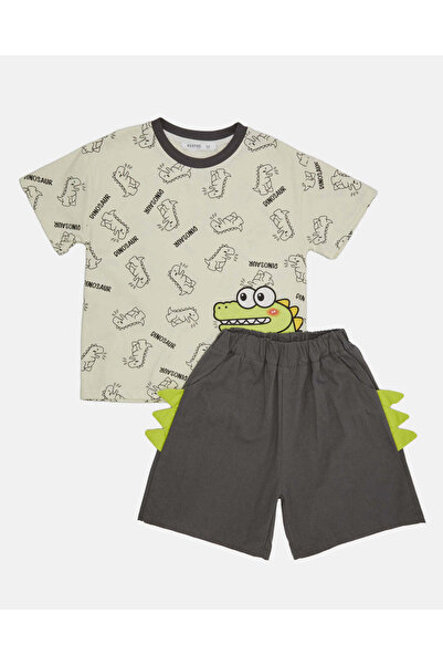 REDTAG Boys Grey Dino Printed Casual Set (2 Piece)