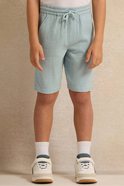 REDTAG Boys Blue Jacquard Shorts