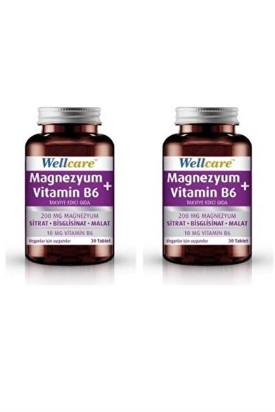 Wellcare Magnesium + Vitamin B6 30 Tablets 2 Pieces