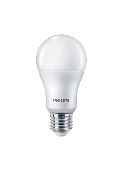 Philips Pack of 2 LED bulbs A67, E27, 13W (100W), 1521 lm, warm white light (2700K), E