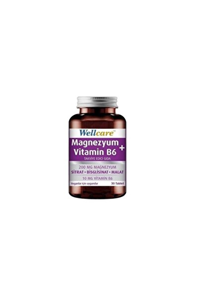 Wellcare Magnesium + Vitamin B6 30 Tablets