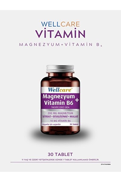 Wellcare Magnezyum + Vitamin B6 30 Tablet