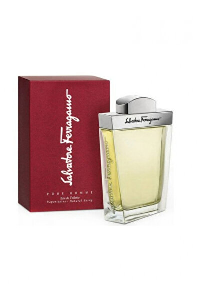 Salvatore Ferragamo Pour Homme For Men Eau De Toilette 100ml
