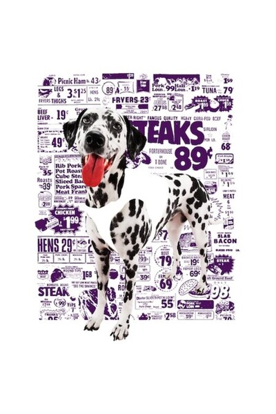 OEM Αυτοκόλλητο Δαλματίας, Λευκό περίγραμμα, PVC βινύλιο, 15 cm