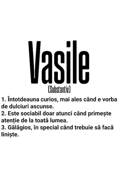 OEM Autocolant cu numele „Vasile” – Mesaj amuzant: Curios, Sociabil, Gălăgios...