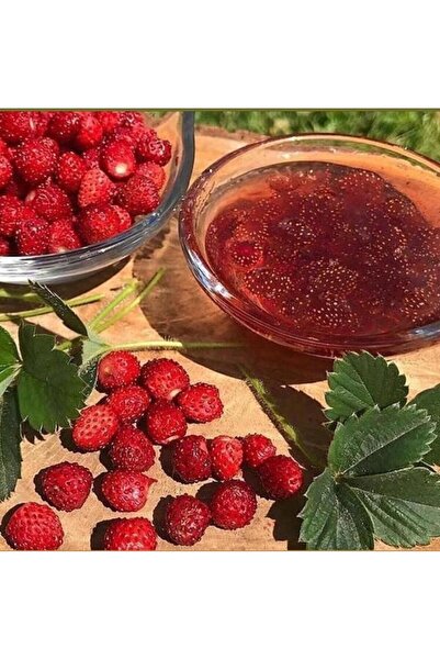 Bizim Yöresel Dağ Çileği Reçeli (390 gr)