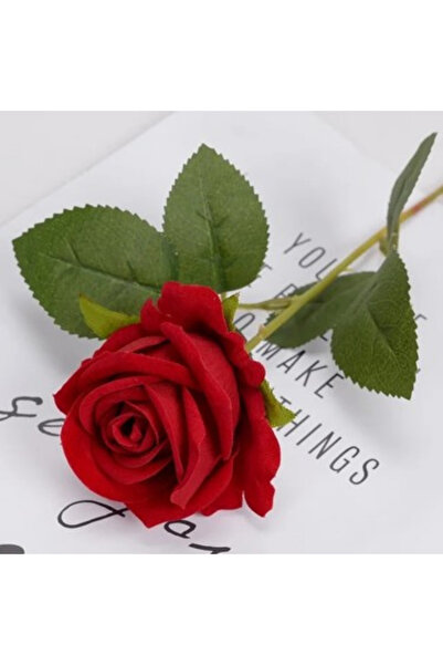 Rosella Barucci 1. Kalite 1 li Kırmızı Kadife Gül Ev Vazo Dekor Süsü Özel Gün Çiçeği – Yapay Çiçek