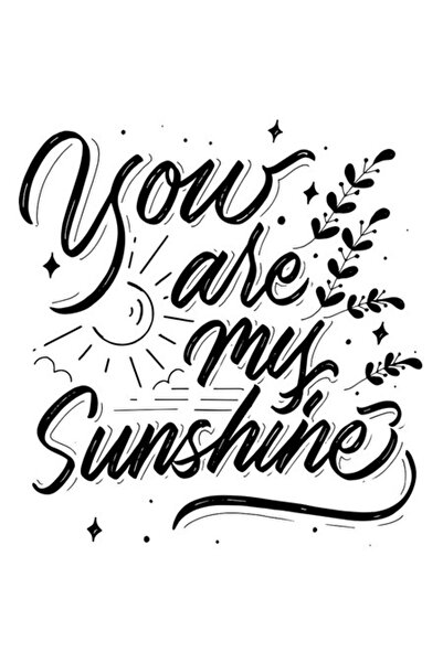 OEM Autocolant „You Are My Sunshine” – Negru cu bordură albă, vinil PVC, 15 cm