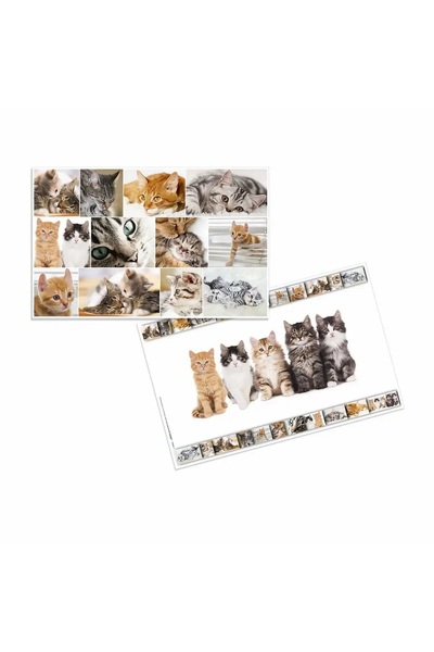 Herma Mapa de birou Pisici 55x35cm