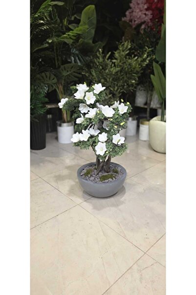 İremÇiçekçilik Yarım Küre Karbonfiber Antrasit saksıda Çiçekli Bonsai