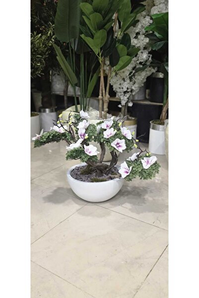 İremÇiçekçilik Beyaz Yarım Küre Karbonfiber saksıda Çiçekli Bonsai