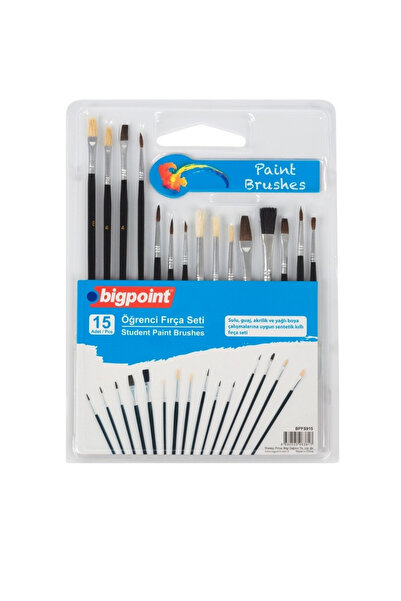 Bigpoint 15-Piece Brush Set, Student Brush Set, Beginner 15-Piece Brush Set