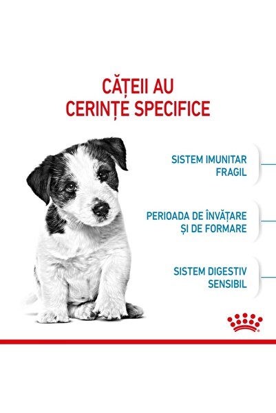 Royal Canin Hrană uscată Mini Puppy pentru câini juniori de talie mică, 8 kg