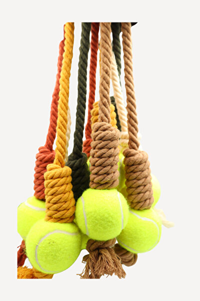 Eva & Wall-e Tennis Ball Bulk Rope Dog Toy | Durable Pull String Fetch Ball for Medium and Large Breeds