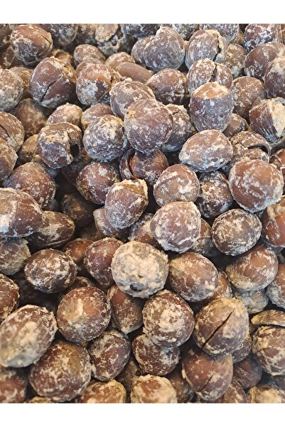 bagisan Tuzlu Fındık Kabuklu kavrulmuş 500 gr
