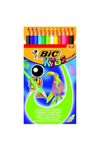 Bic set of 12 colored pencils, Wood, Multicolor