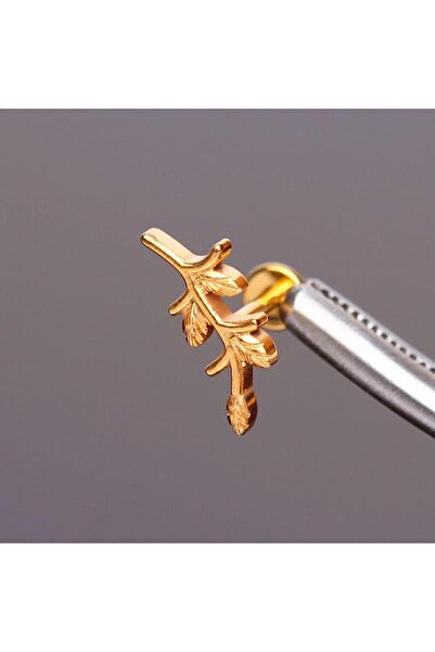 Rupen Kraft %100 G23 Titanyum Zirkon Gül Dalı Detay Kıkırdak Conch Tragus Pie...