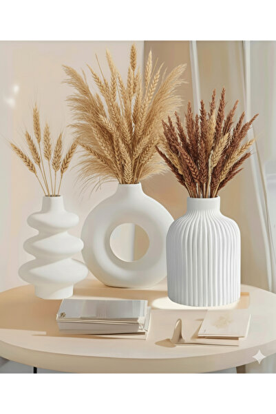 muffag Σετ 3 Minimal Σετ Βάζο Σκανδιναβικού Στιλ Μποέμ Δώρο Pinterest Σετ Βάζο Pampas Διακοσμητικό αντικείμενο