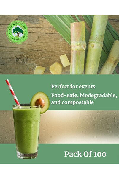 Green Gift Concepts - 100 PC of Food Grade Biodegradable Red & White Paper Straws