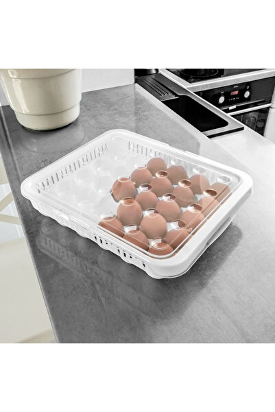 Other Container for 30 eggs