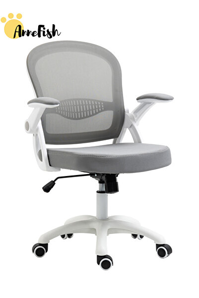AnneFish Comfortable Office Chair Ergonomic Low Back Mesh Chair with Flip Up Armrests and Lumbar Support